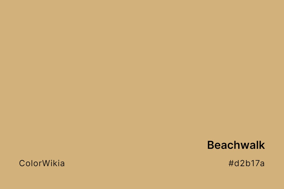 Beachwalk Color – #d2b17a: Codes and Complete Breakdown