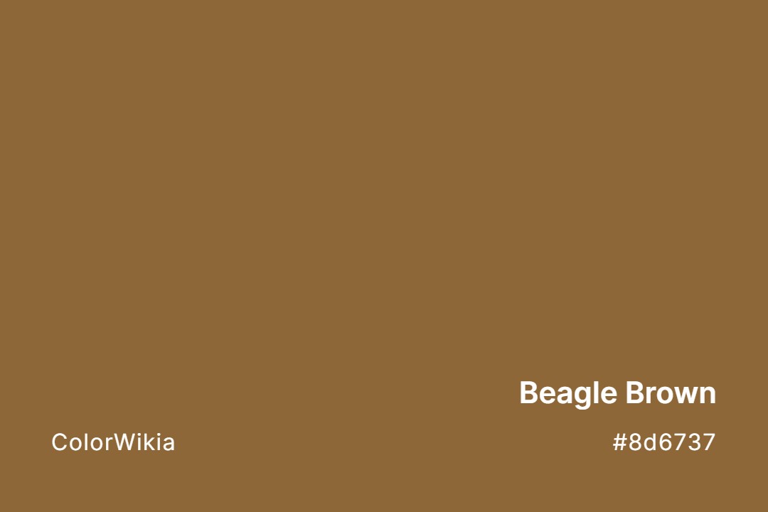 Beagle Brown Color – #8d6737: Codes and Complete Breakdown