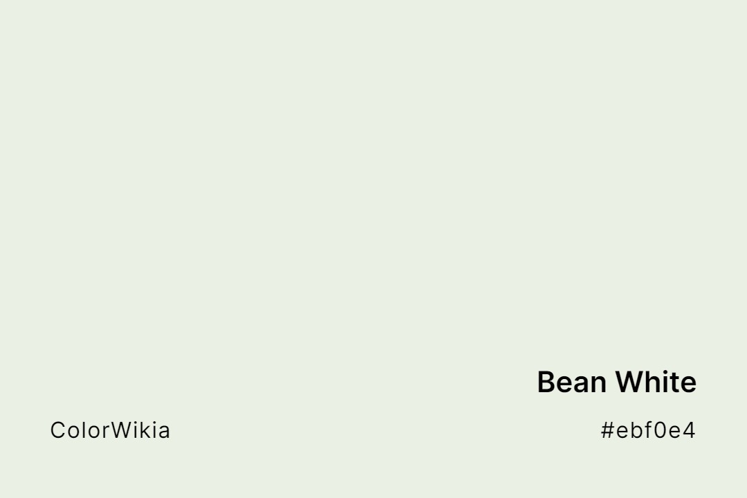 Bean White Color – #ebf0e4: Codes and Complete Breakdown
