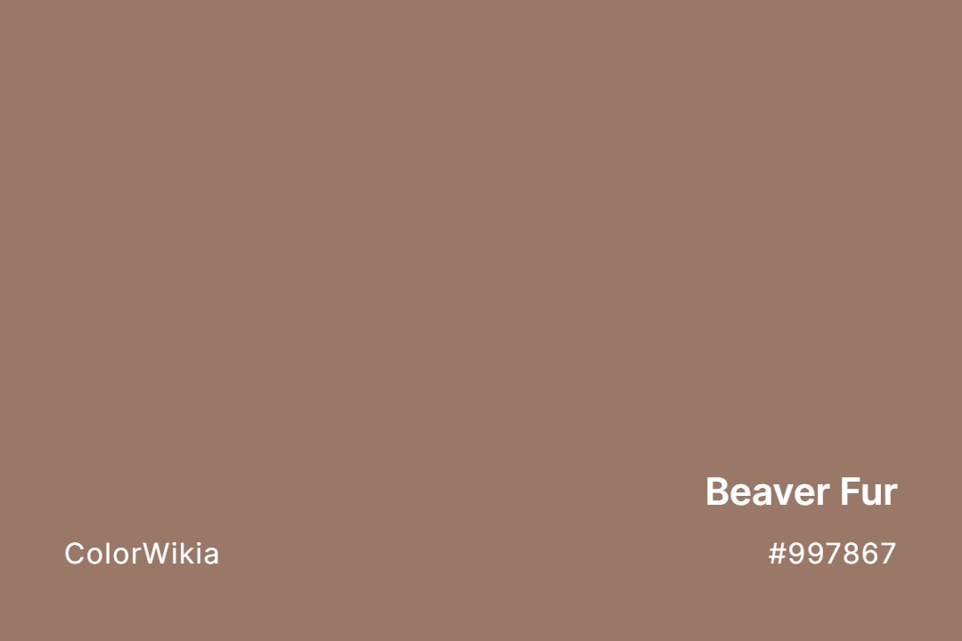 beaver fur color 997867