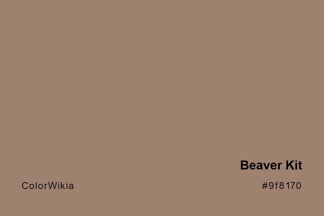 beaver kit color 9f8170