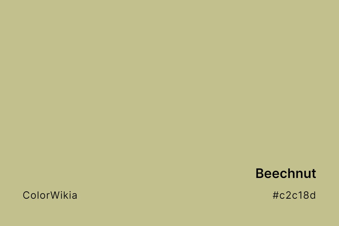 Beechnut Color – #c2c18d: Codes and Complete Breakdown