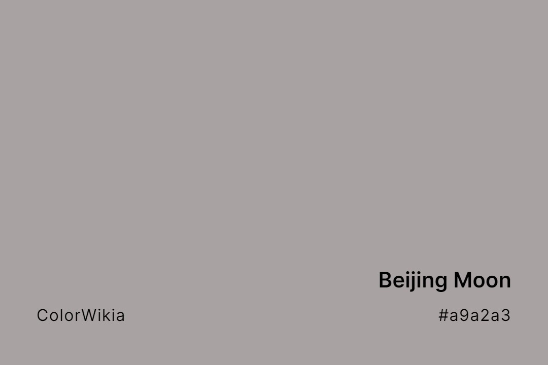 Beijing Moon Color – #a9a2a3: Codes and Complete Breakdown