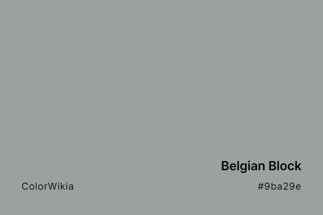 belgian block color 9ba29e