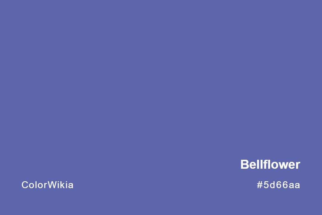 Bellflower Color – #5d66aa: Codes and Complete Breakdown