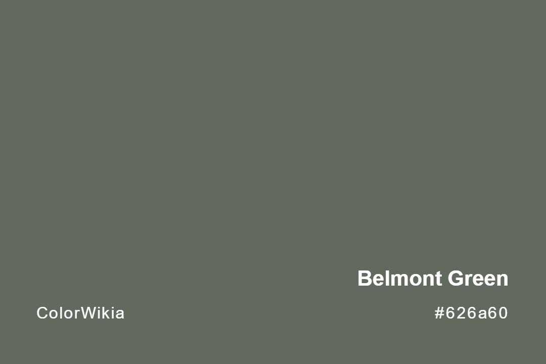 Belmont Green Color – #626a60: Codes and Complete Breakdown