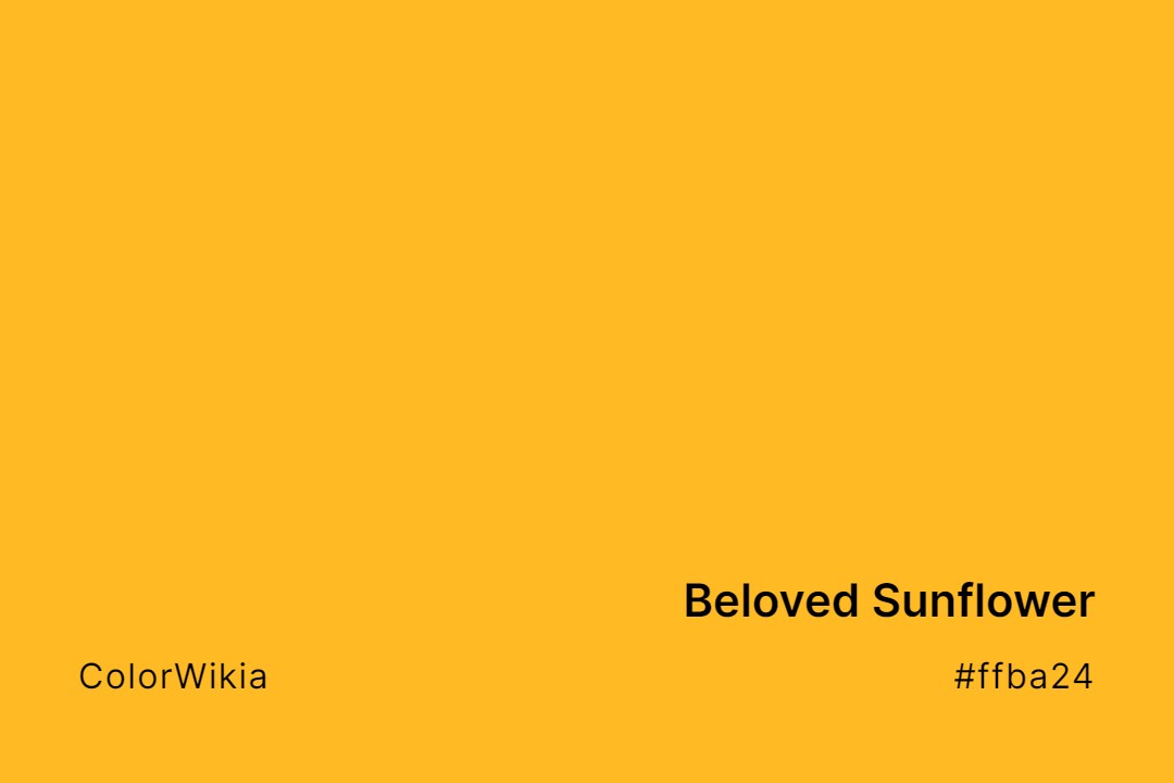 Beloved Sunflower Color – #ffba24: Codes and Complete Breakdown