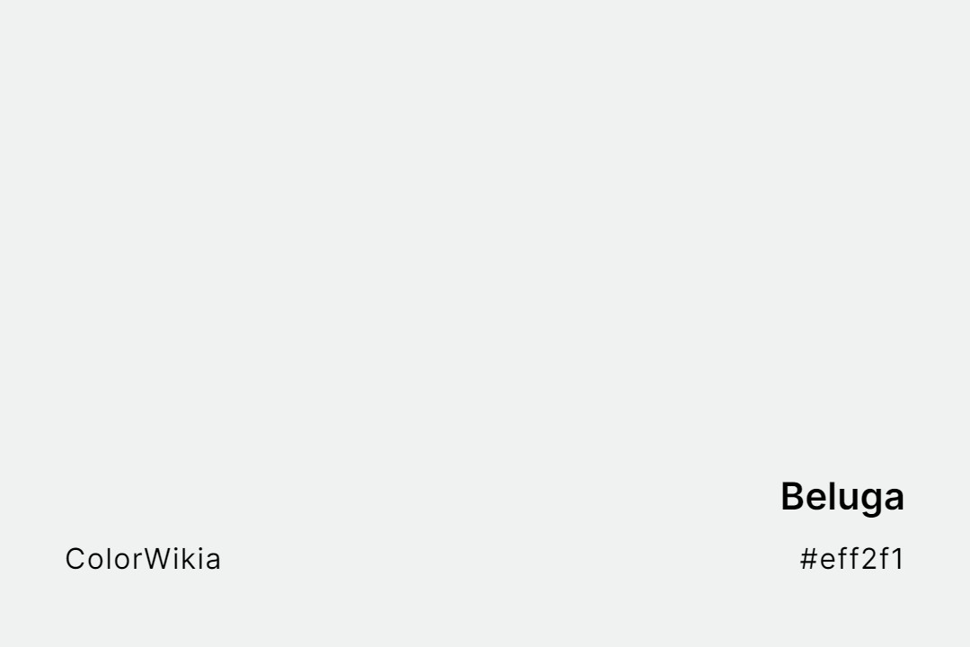 Beluga Color – #eff2f1: Codes and Complete Breakdown