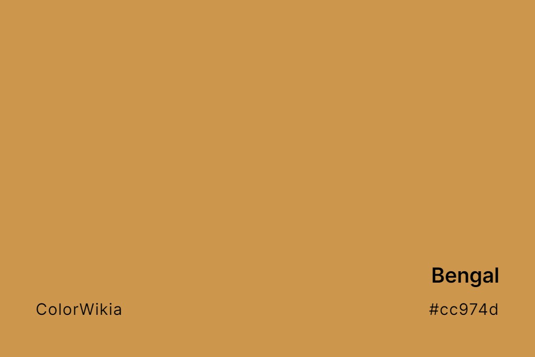 Bengal Color – #cc974d: Codes and Complete Breakdown