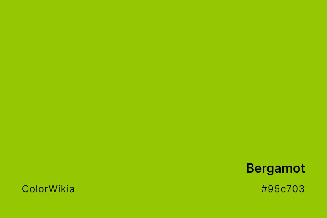 Bergamot Color – #95c703: Codes and Complete Breakdown