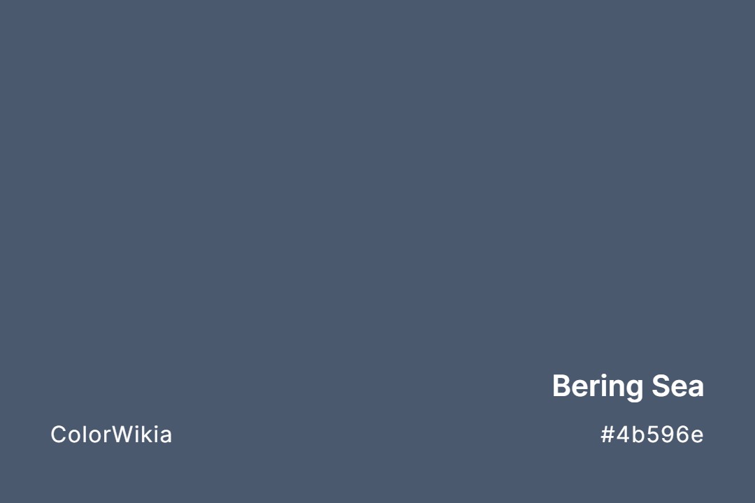 Bering Sea Color – #4b596e: Codes and Complete Breakdown