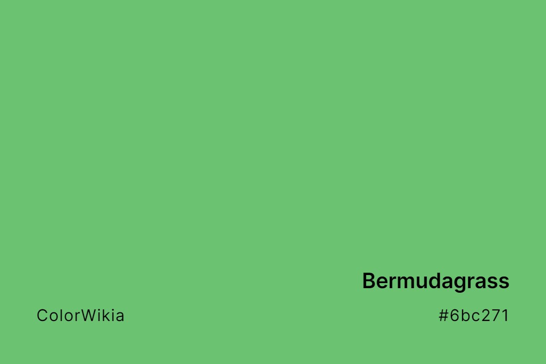 Bermudagrass Color – #6bc271: Codes and Complete Breakdown
