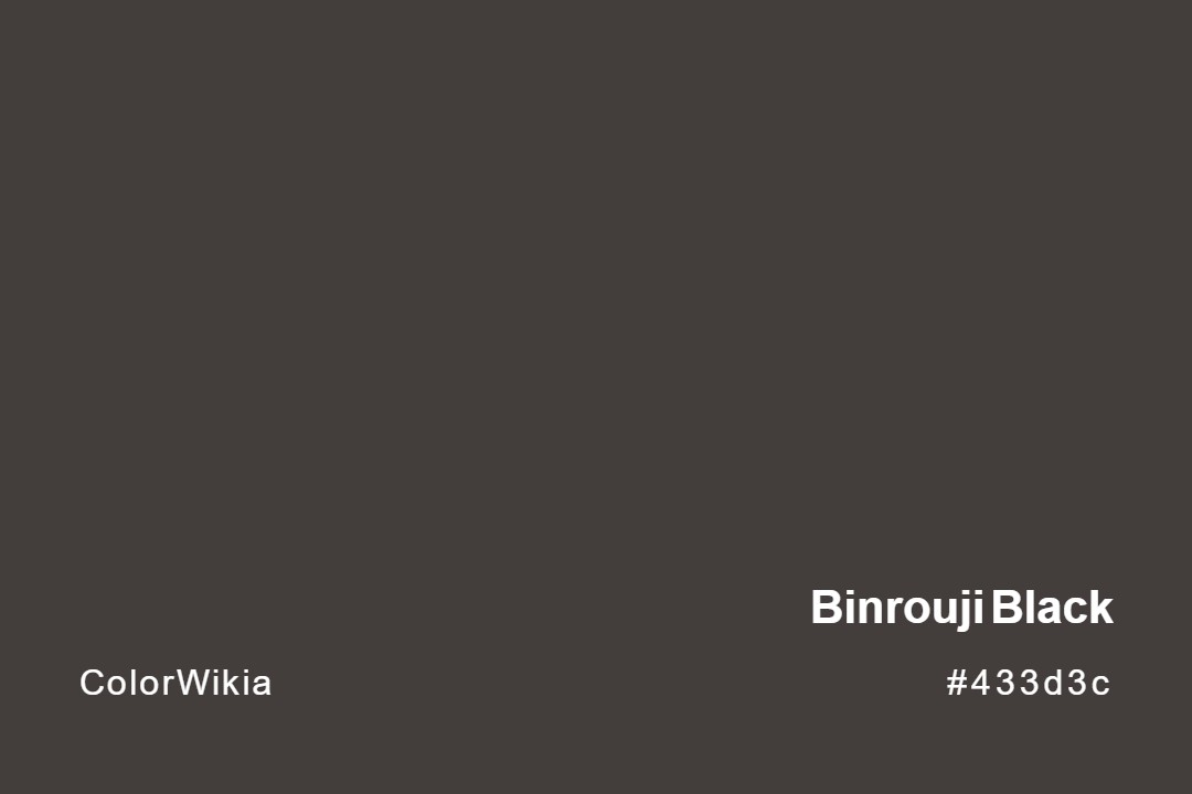 Binrouji Black Color – #433d3c: Codes and Complete Breakdown