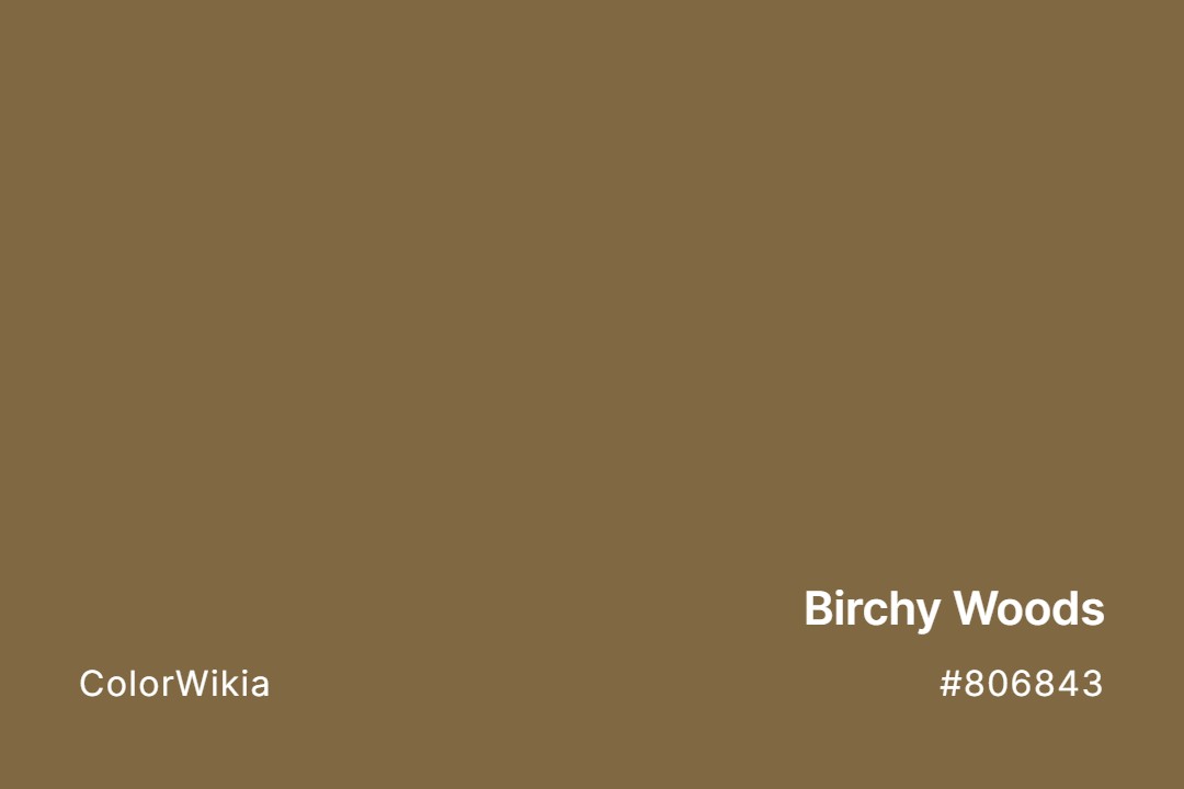 Birchy Woods Color – #806843: Codes and Complete Breakdown