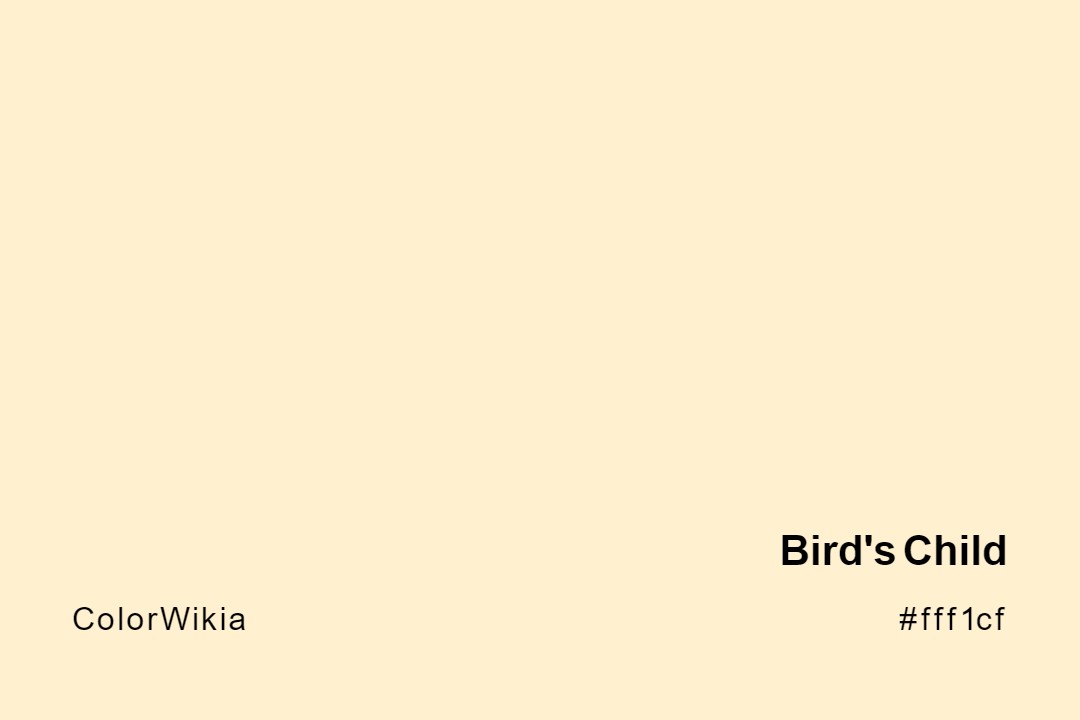 birds child color fff1cf