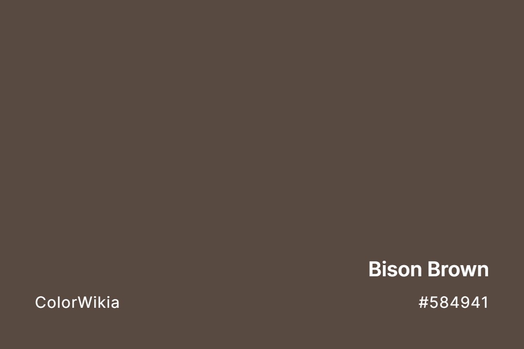 bison brown color 584941
