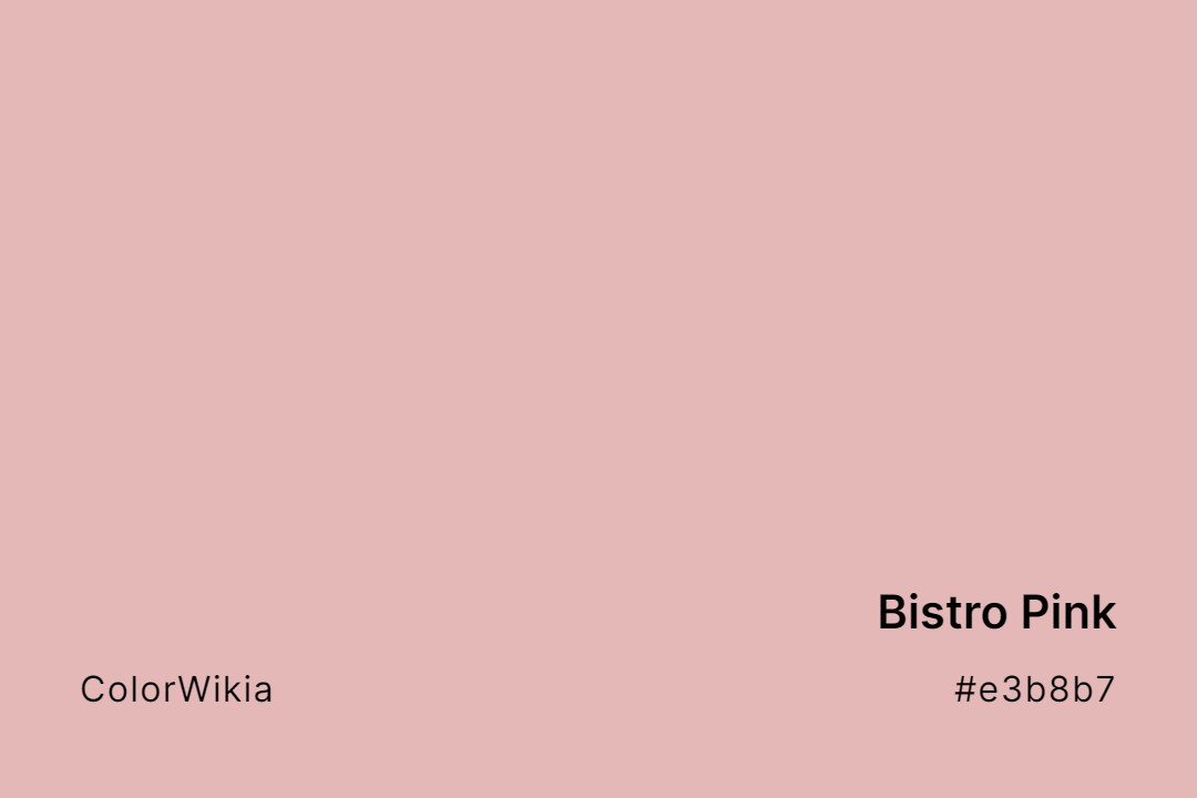 Bistro Pink Color – #e3b8b7: Codes and Complete Breakdown