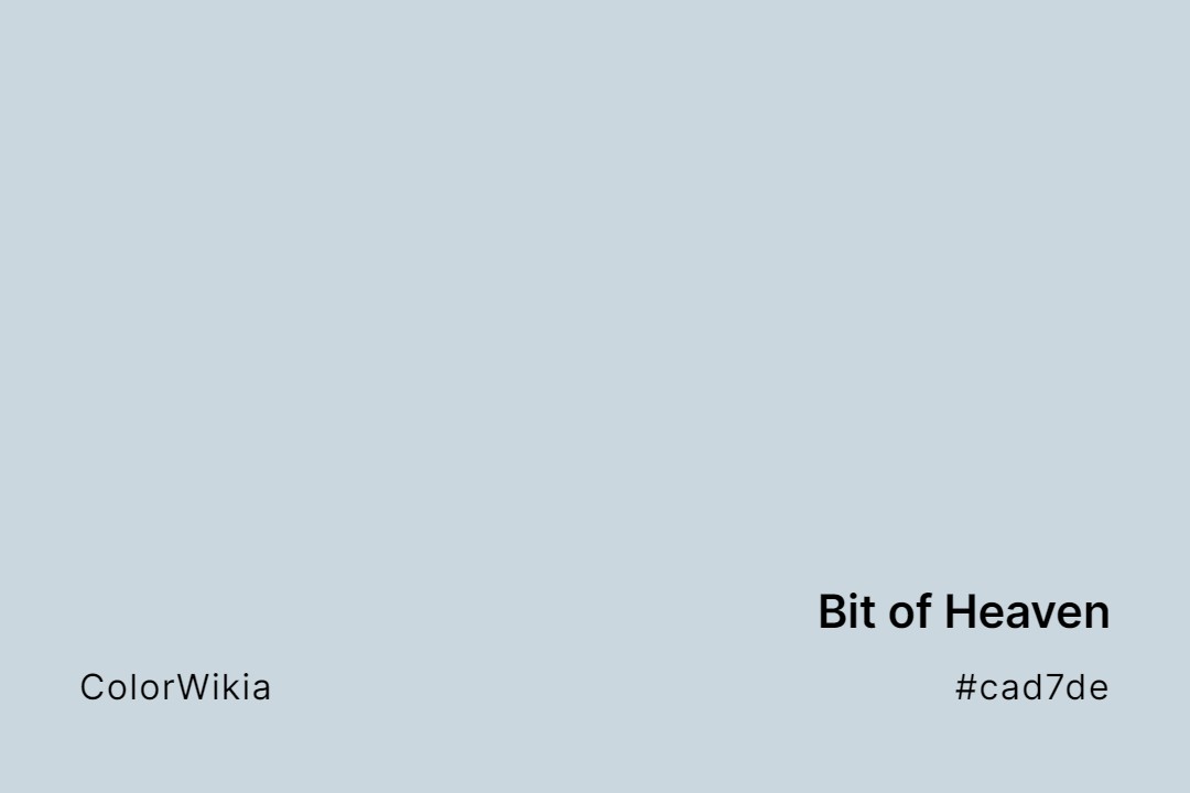 Bit of Heaven Color – #cad7de: Codes and Complete Breakdown