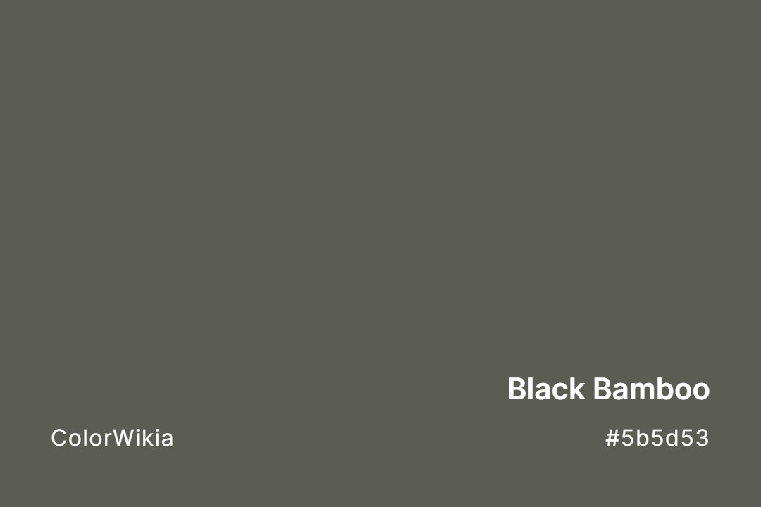 Black Bamboo Color – #5b5d53: Codes and Complete Breakdown