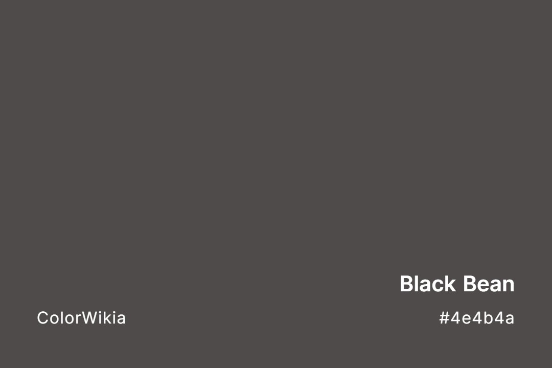 Black Bean Color – #4e4b4a: Codes and Complete Breakdown