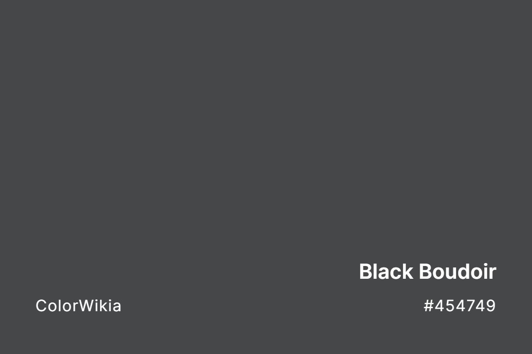 Black Boudoir Color – #454749: Codes and Complete Breakdown
