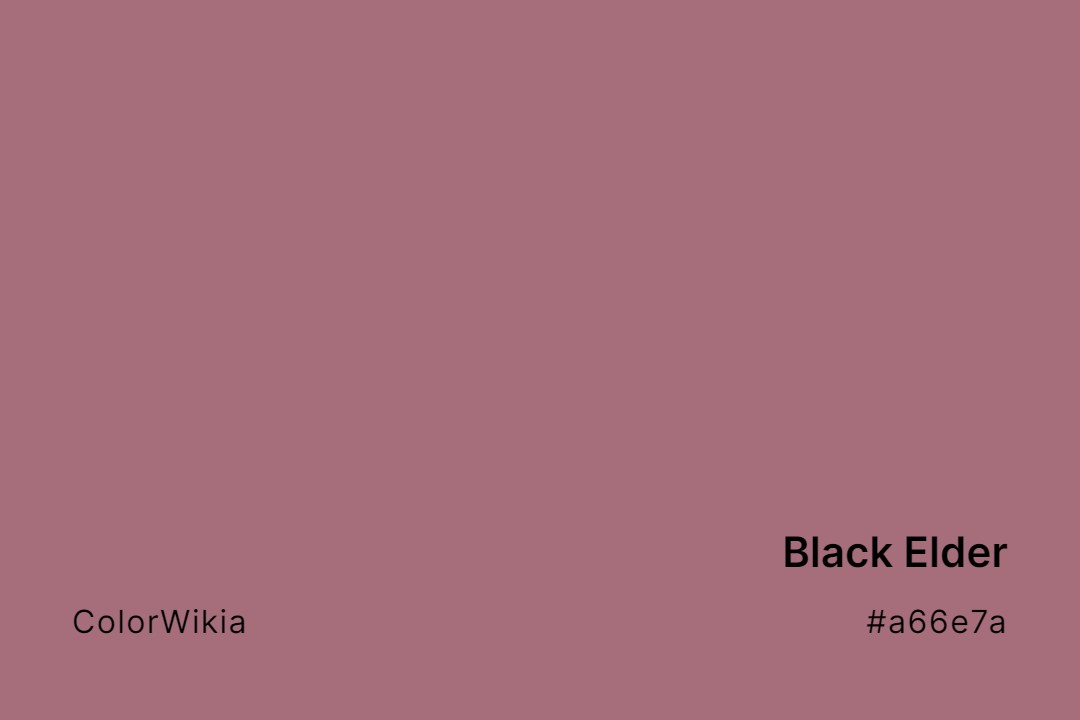 Black Elder Color – #a66e7a: Codes and Complete Breakdown