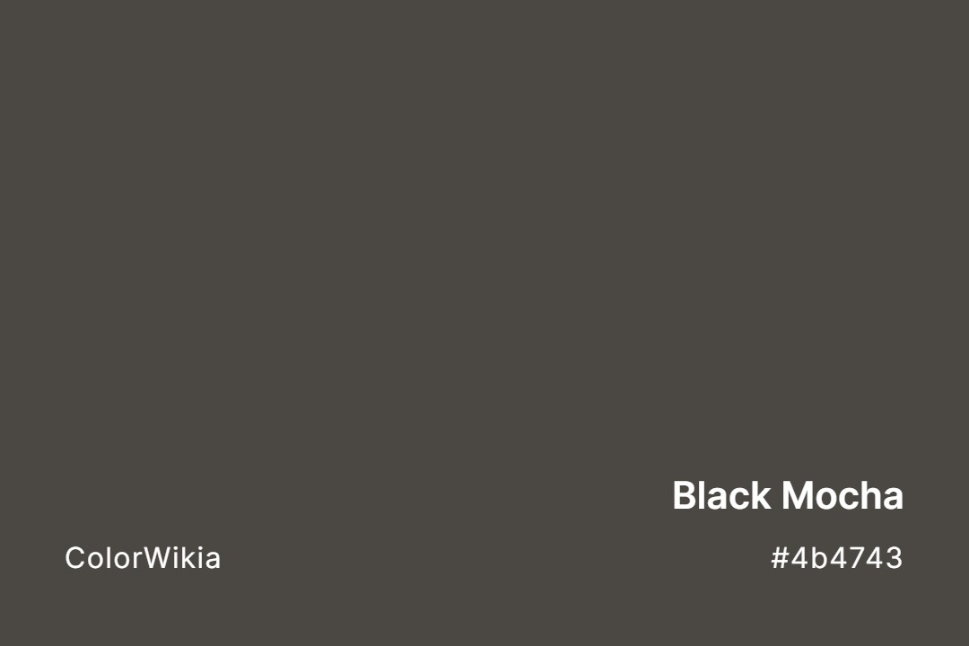 Black Mocha Color – #4b4743: Codes and Complete Breakdown