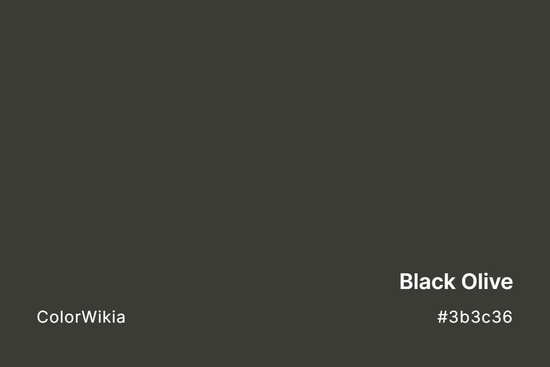 Black Olive Color – #3b3c36: Codes and Complete Breakdown