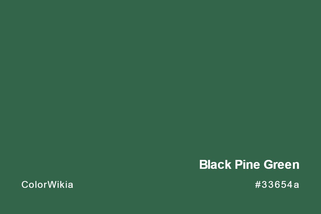Black Pine Green Color – #33654a: Codes and Complete Breakdown