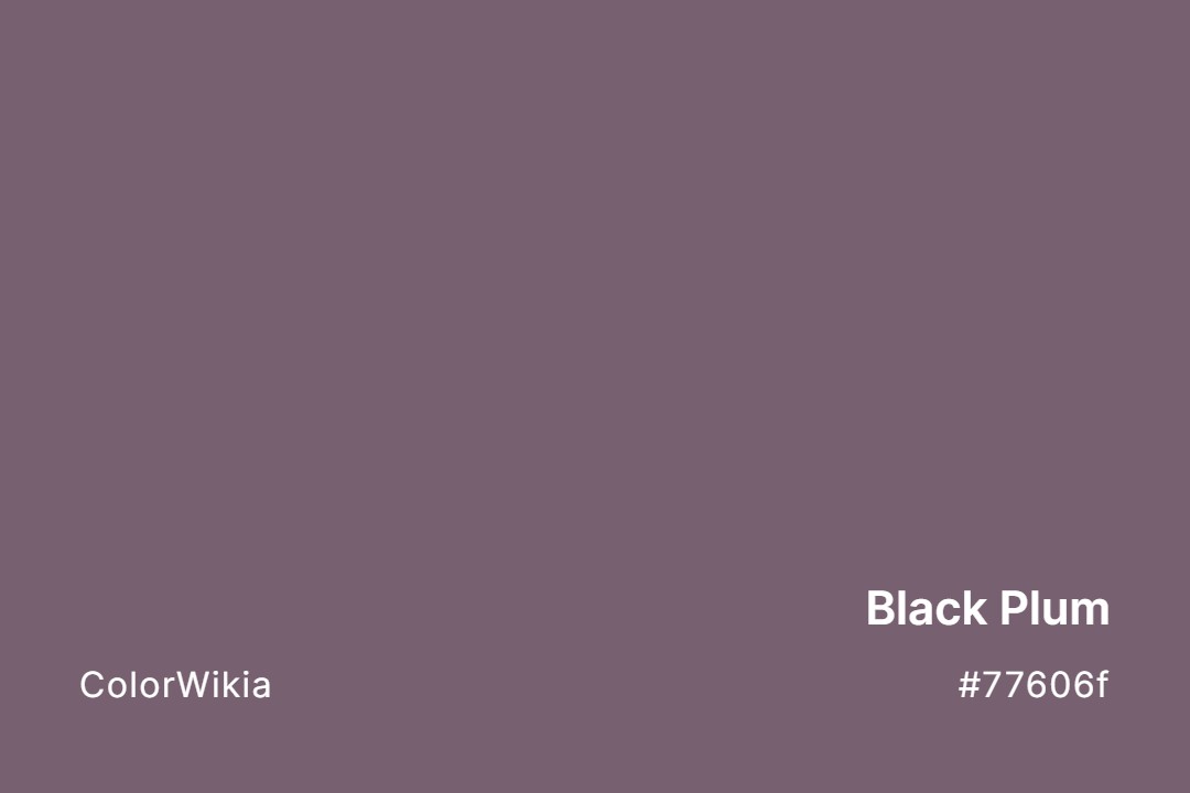 Black Plum Color – #77606f: Codes and Complete Breakdown