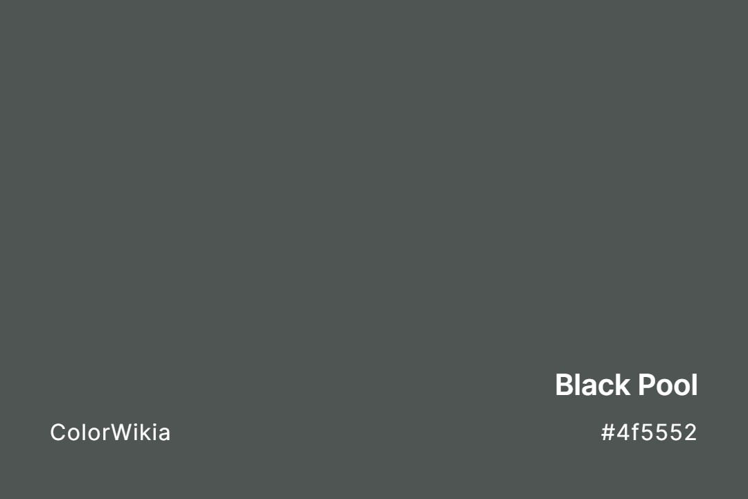 Black Pool Color – #4f5552: Codes and Complete Breakdown