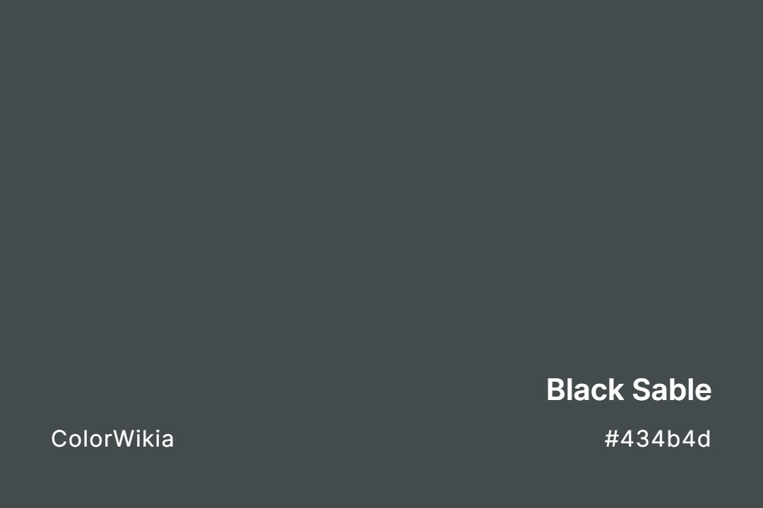 Black Sable Color – #434b4d: Codes and Complete Breakdown