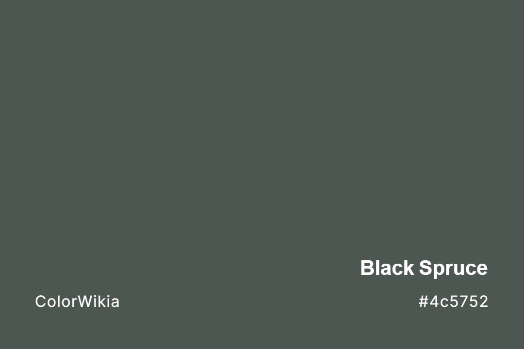 Black Spruce Color – #4c5752: Codes and Complete Breakdown