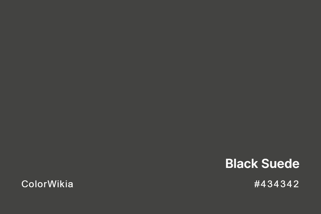 Black Suede Color – #434342: Codes and Complete Breakdown