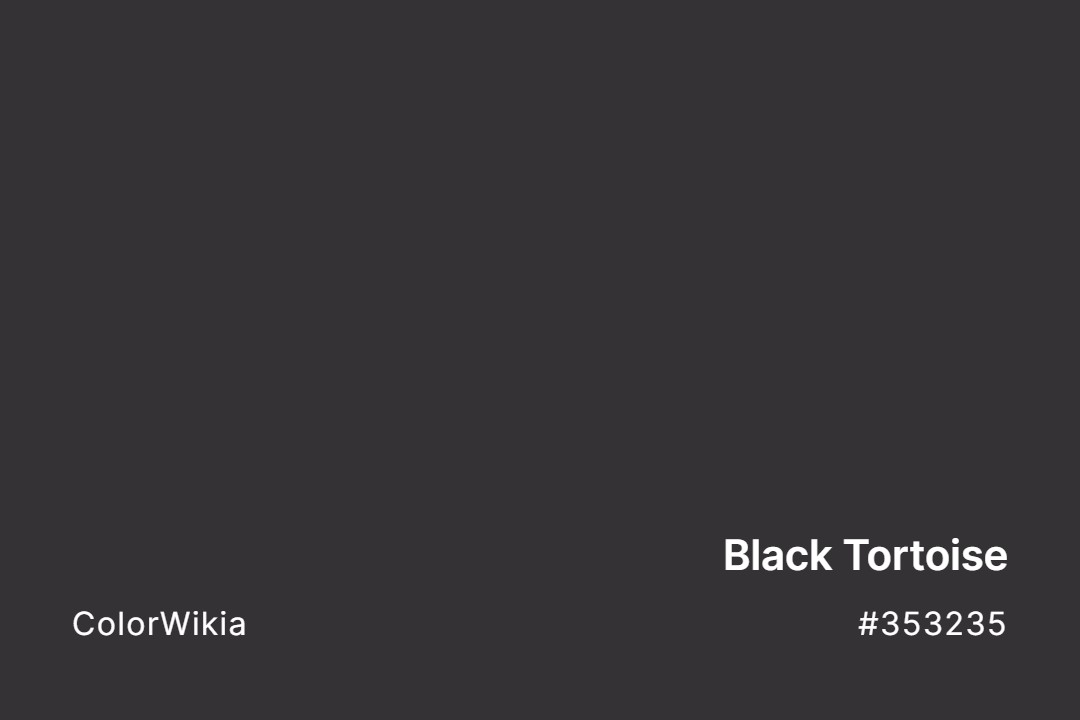 Black Tortoise Color – #353235: Codes and Complete Breakdown