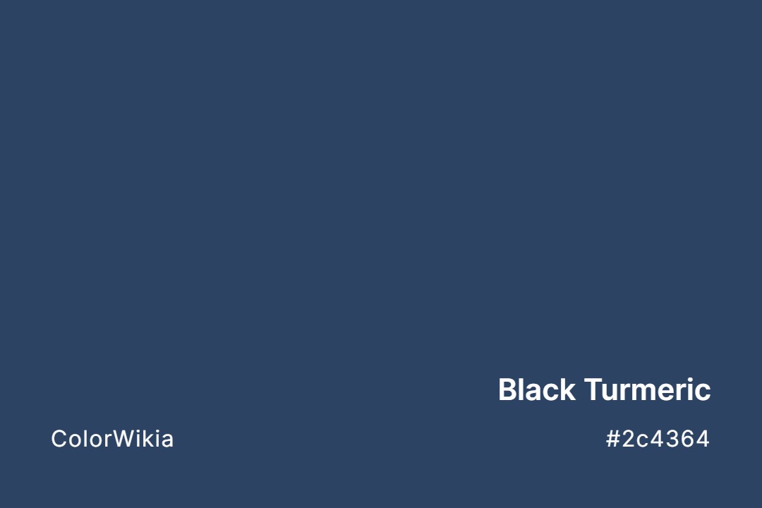 Black Turmeric Color – #2c4364: Codes and Complete Breakdown
