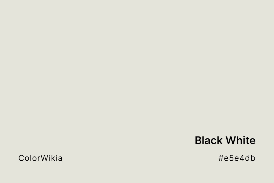Black White Color – #e5e4db: Codes and Complete Breakdown