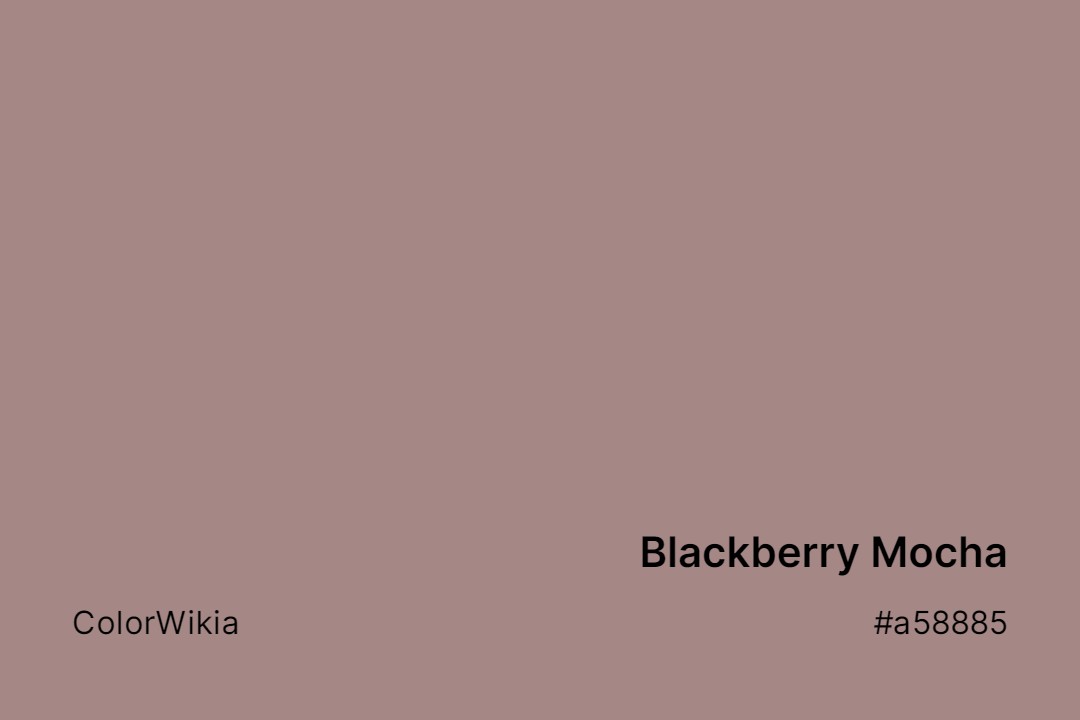 Blackberry Mocha Color – #a58885: Codes and Complete Breakdown