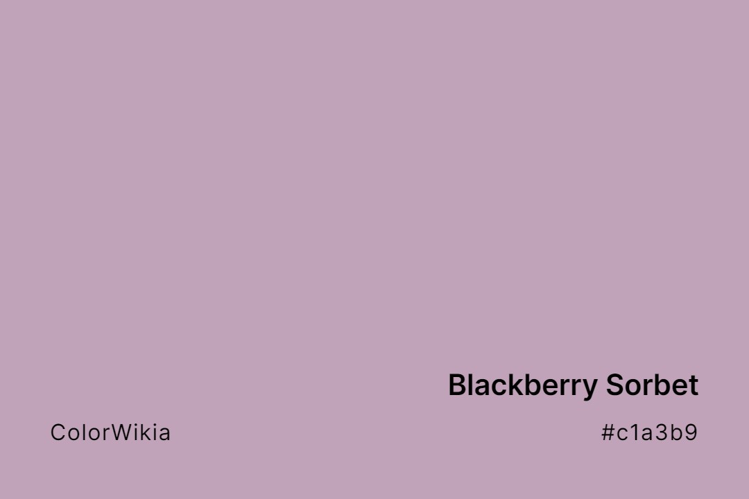 Blackberry Sorbet Color – #c1a3b9: Codes and Complete Breakdown