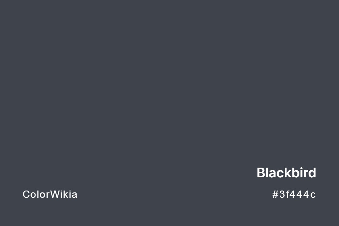 Blackbird Color – #3f444c: Codes and Complete Breakdown