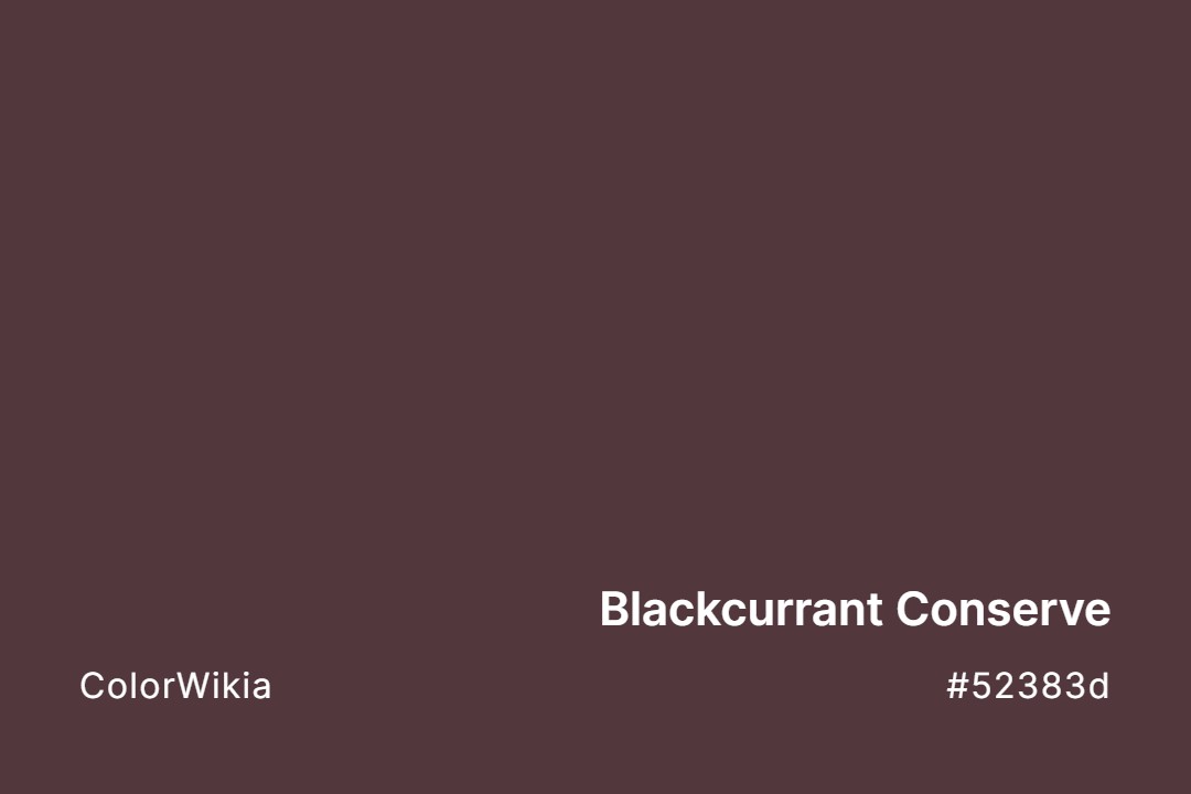 Blackcurrant Conserve Color – #52383d: Codes and Complete Breakdown