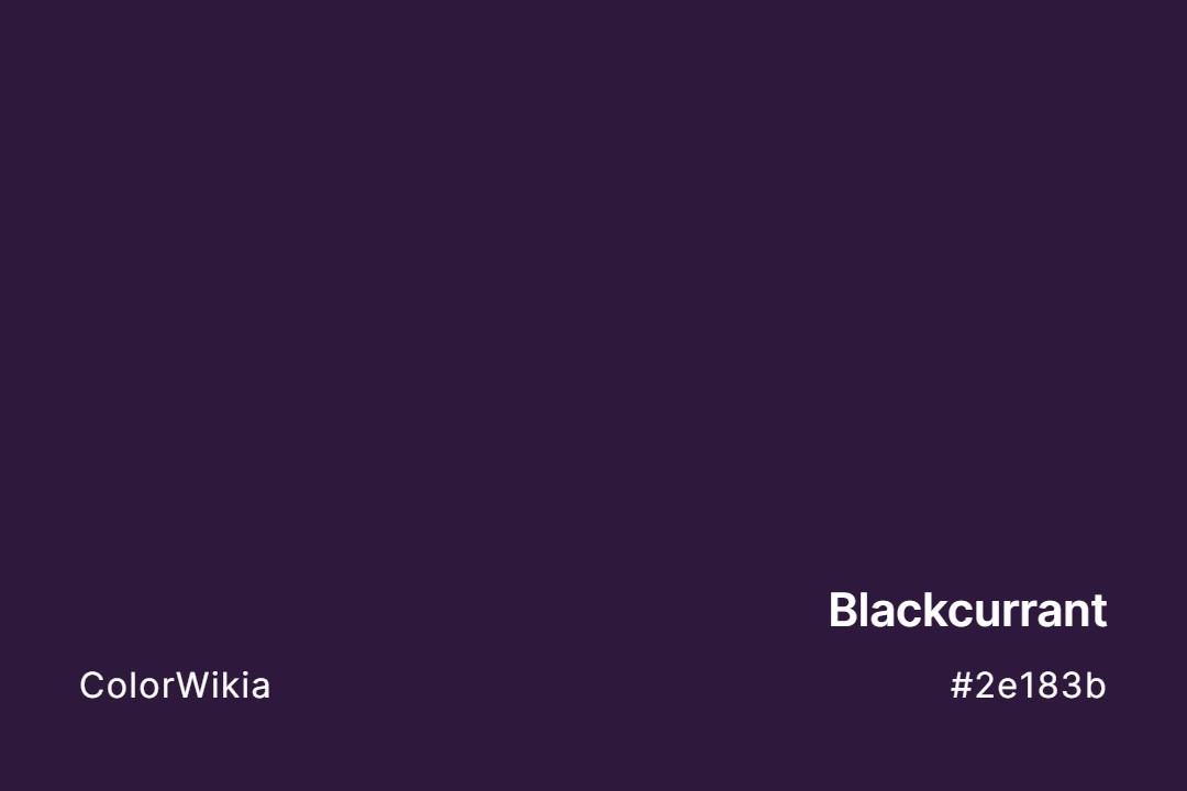 Blackcurrant Color – #2e183b: Codes and Complete Breakdown