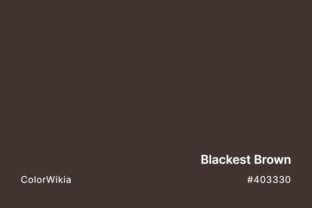 Blackest Brown Color – #403330: Codes and Complete Breakdown