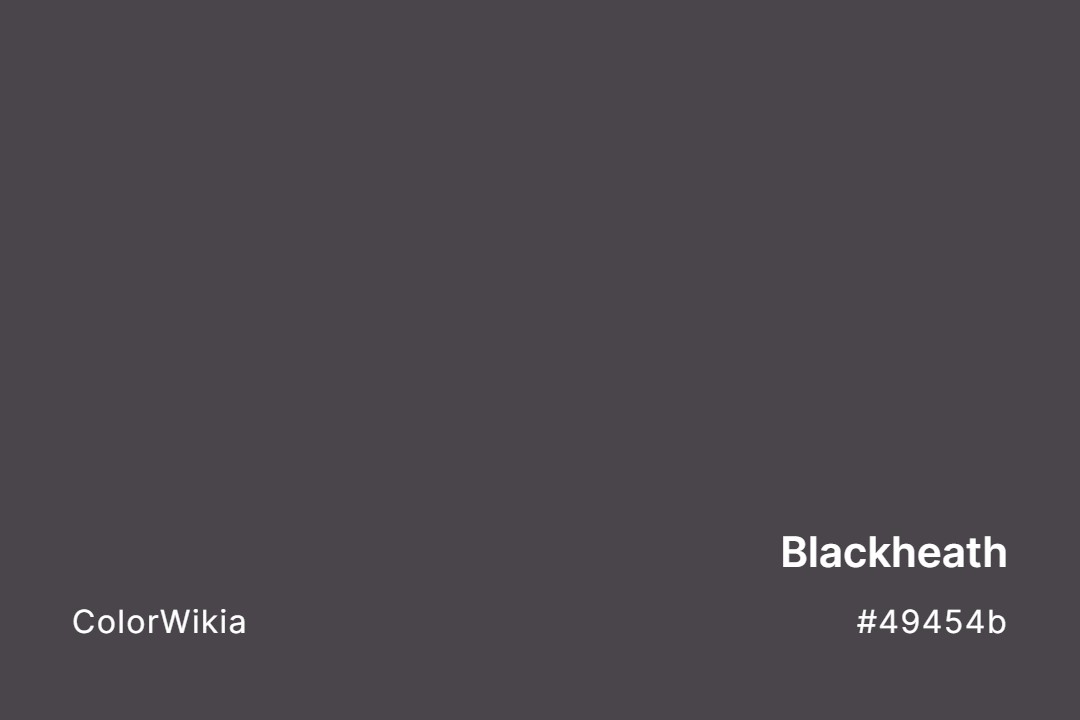 Blackheath Color – #49454b: Codes and Complete Breakdown