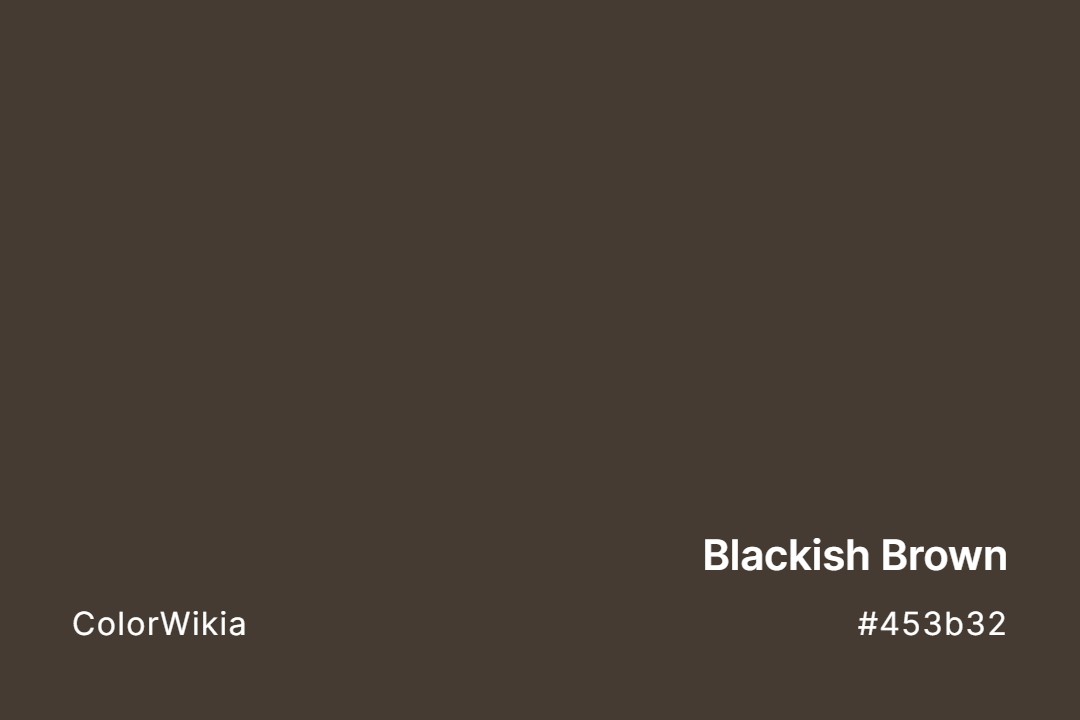 Blackish Brown Color – #453b32: Codes and Complete Breakdown