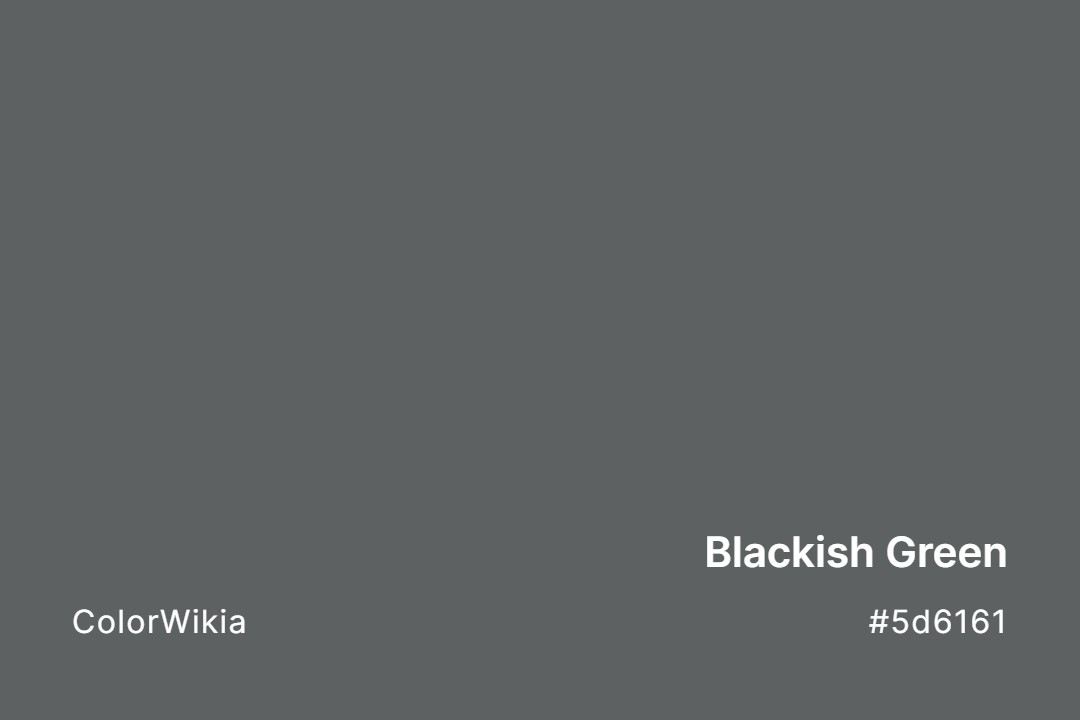 Blackish Green Color – #5d6161: Codes and Complete Breakdown