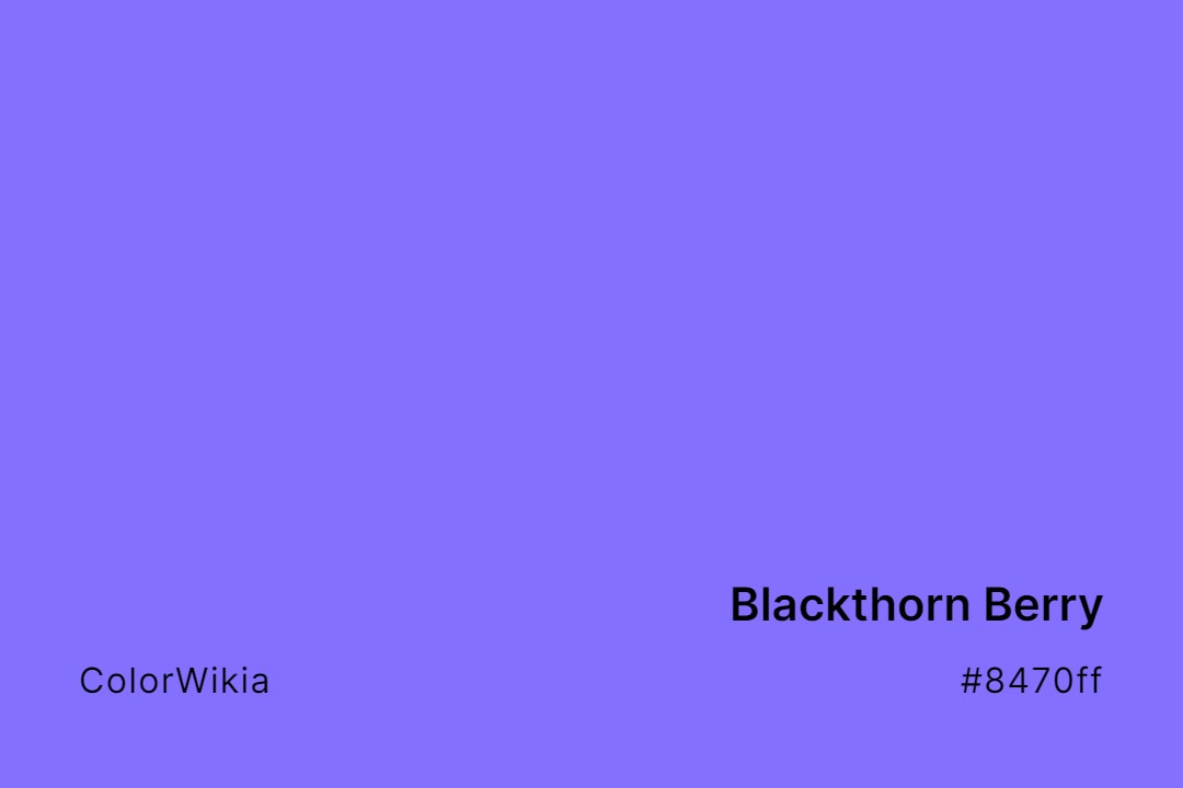 Blackthorn Berry Color – #8470ff: Codes and Complete Breakdown
