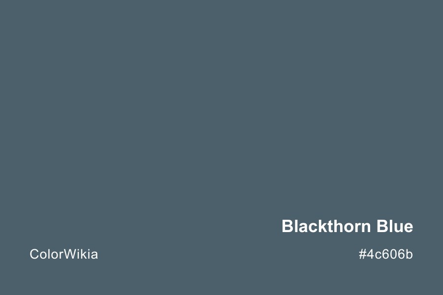 Blackthorn Blue Color – #4c606b: Codes and Complete Breakdown