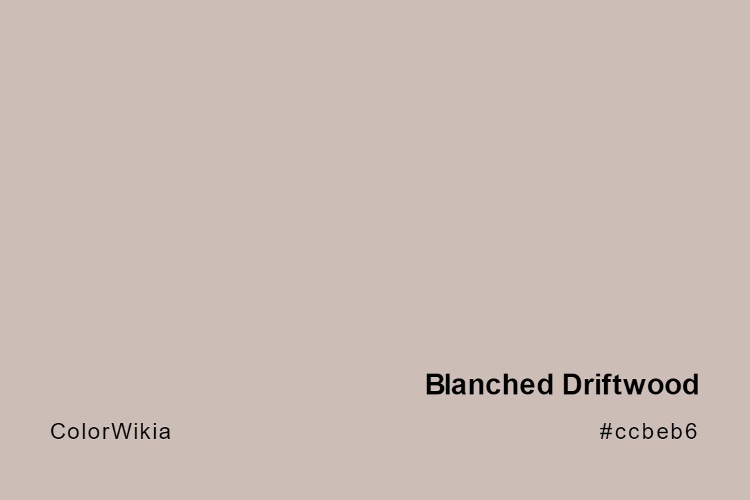 Blanched Driftwood Color – #ccbeb6: Codes and Complete Breakdown