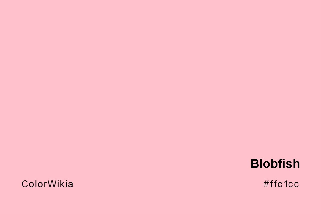 Blobfish Color – #ffc1cc: Codes and Complete Breakdown